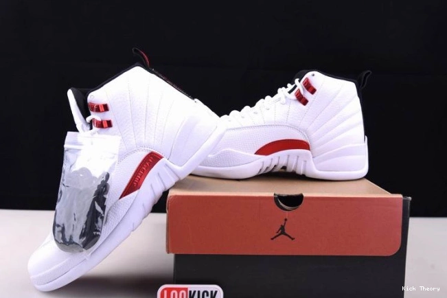 Kicktheory 12 Jordan CT8013-106 Air Twist 0817